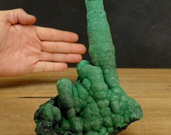 鍾乳石　4.9キロ 鍾乳石 4.9キロ