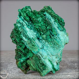 天然トルマリン結晶（水晶片付き） - アフガニスタン産標本 - Etsy 日本