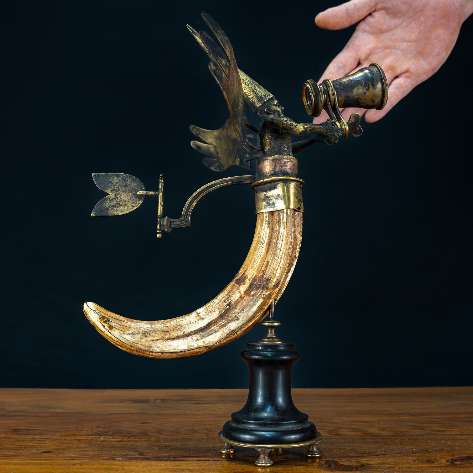 非常にエレガントなカバの牙「Tooth Fairy」 - ブロンズ彫刻 - 894.96g