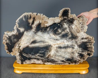 アリゾナ産天然珪化木結晶スライス - 16728.48g - Etsy 日本
