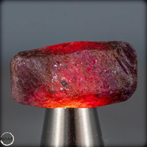 Op de afbeelding: Een grote, ruwe, rode robijn edelsteen met een gestreept oppervlak. De robijn wordt van onderen belicht, waardoor de dieprode kleur wordt benadrukt.
