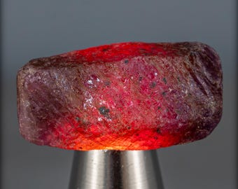 Natural Ruby Crystal from Myanmar, Untreated - 11.27g - 56.35ct