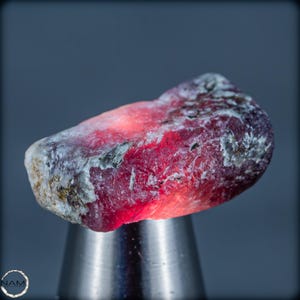 Cristal de rubis brut 7,49 g, Loliondo Tanzanie - France