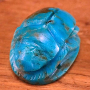 Turquoise Scarab Carving from Arizona - 10.09g - 27 x 20 x 14mm