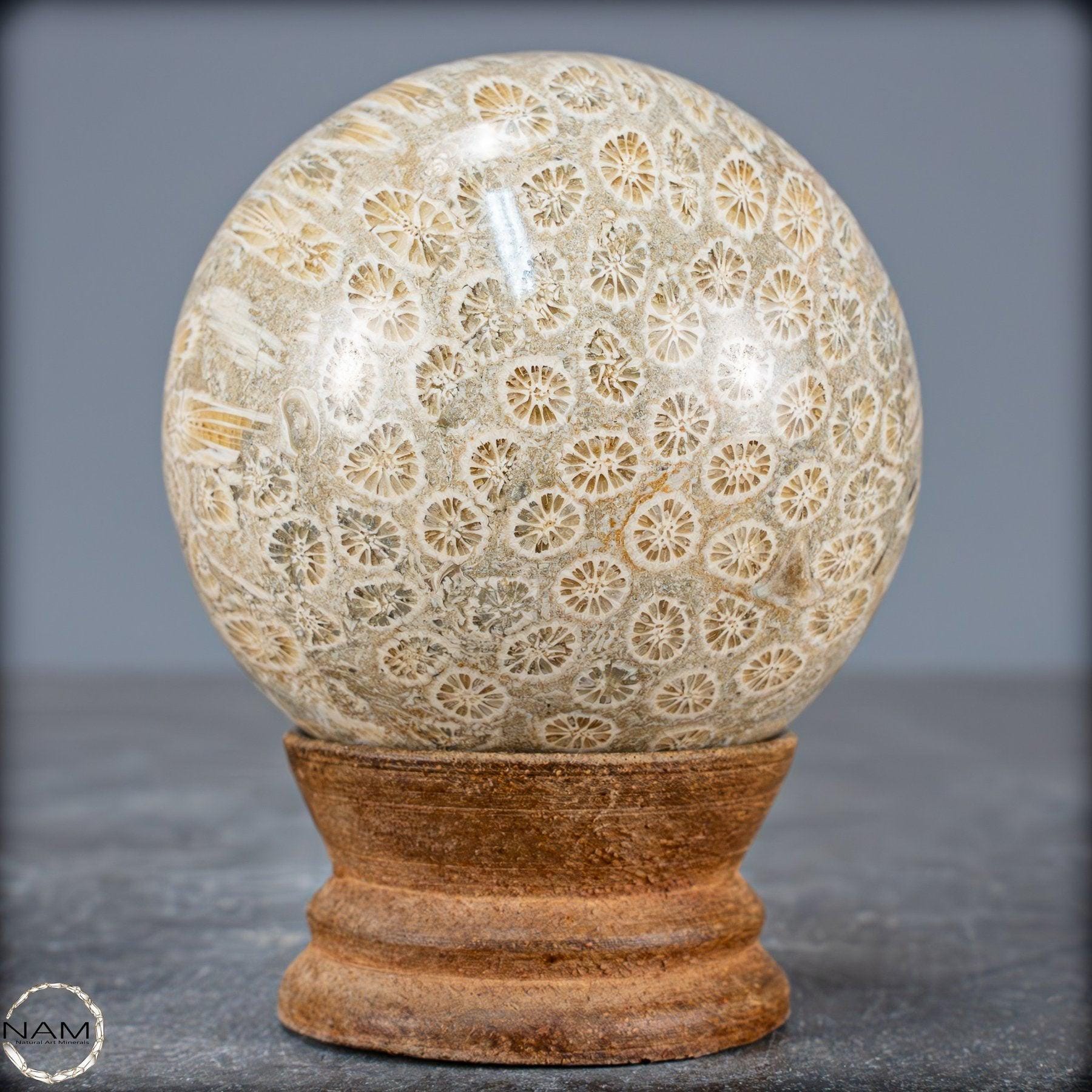 天然化石サンゴボール - 342.43g - Etsy 日本