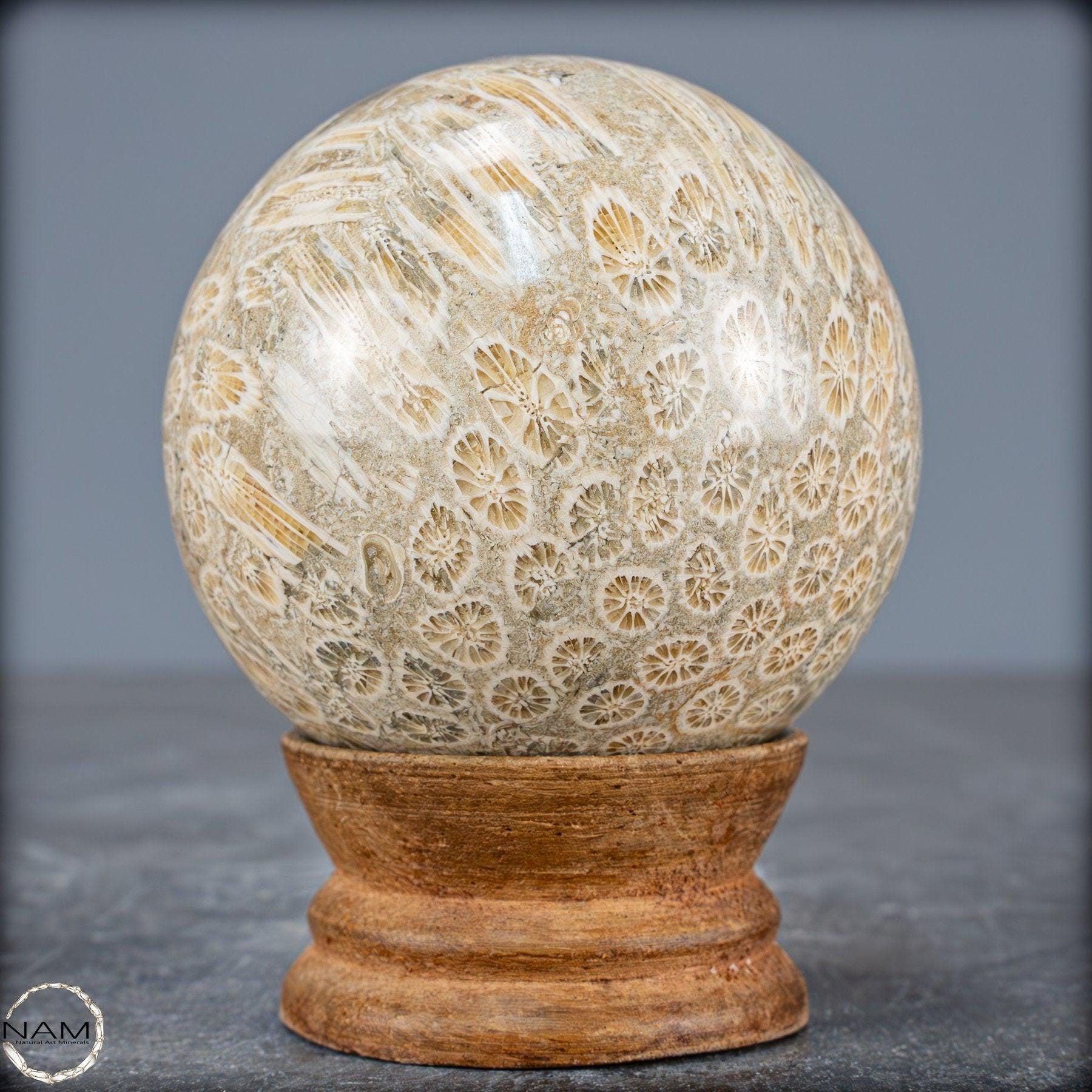 天然化石サンゴボール - 342.43g - Etsy 日本