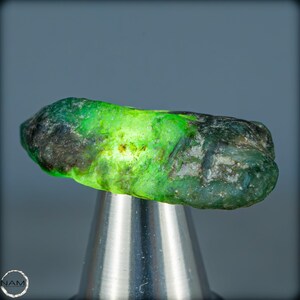 Natural emerald crystal from Colombia, untreated - 9.23g - 46.15ct