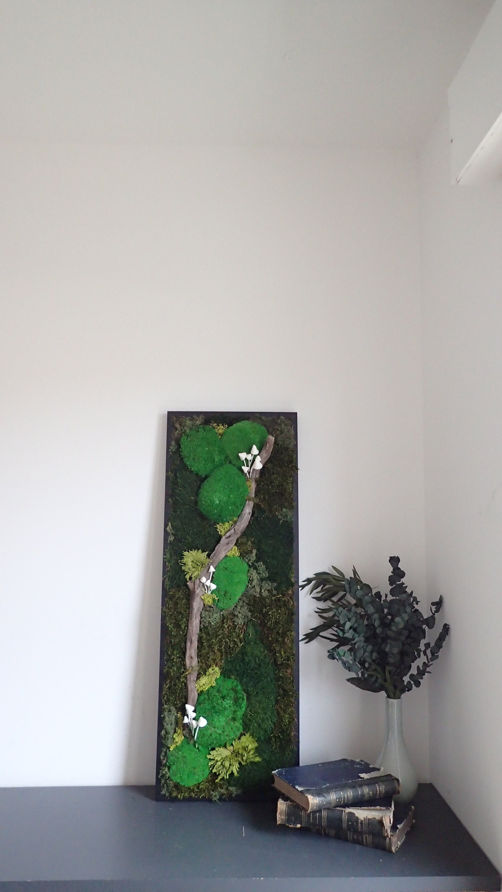 Cadre Végétal, Cadres Végétaux Stabilisés, Mur Cadre Fleuri, Décoration Murale Végétale.