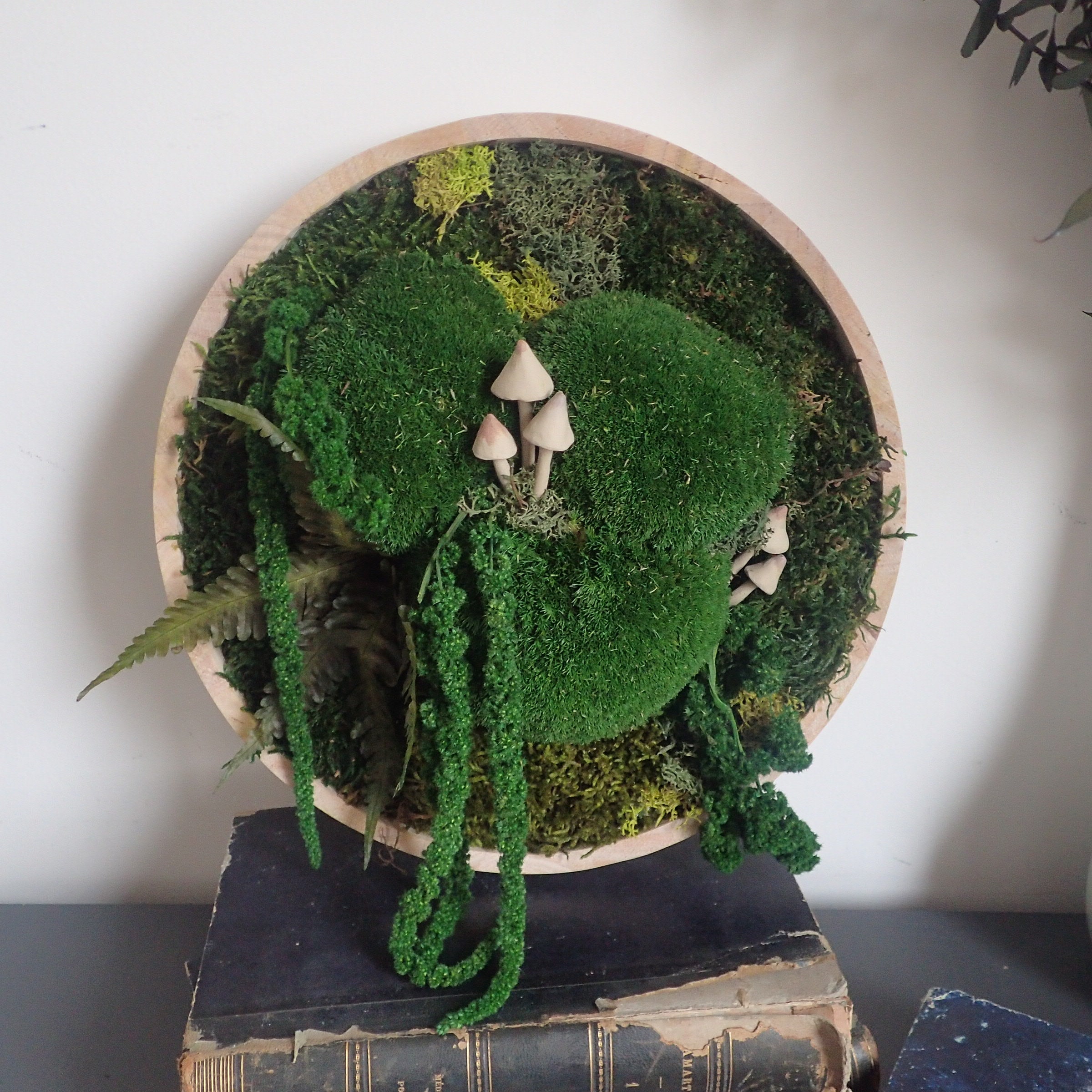 Cadre Végétal Stabilisé Rond, Cadre Fleuri, Décoration Murale Végétale, Mur Végétal, Stabilisé