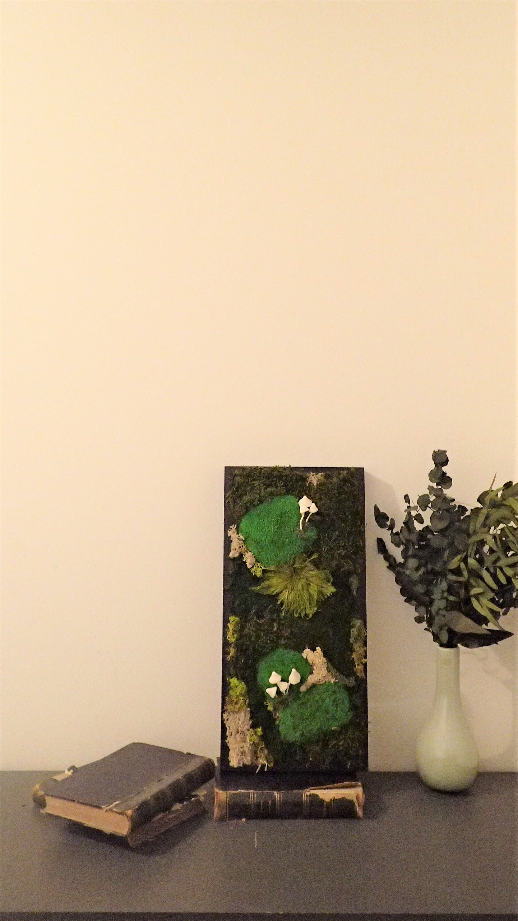 Cadre Végétal, Cadres Végétaux Stabilisés, Mur Cadre Fleuri, Décoration Murale Végétale.