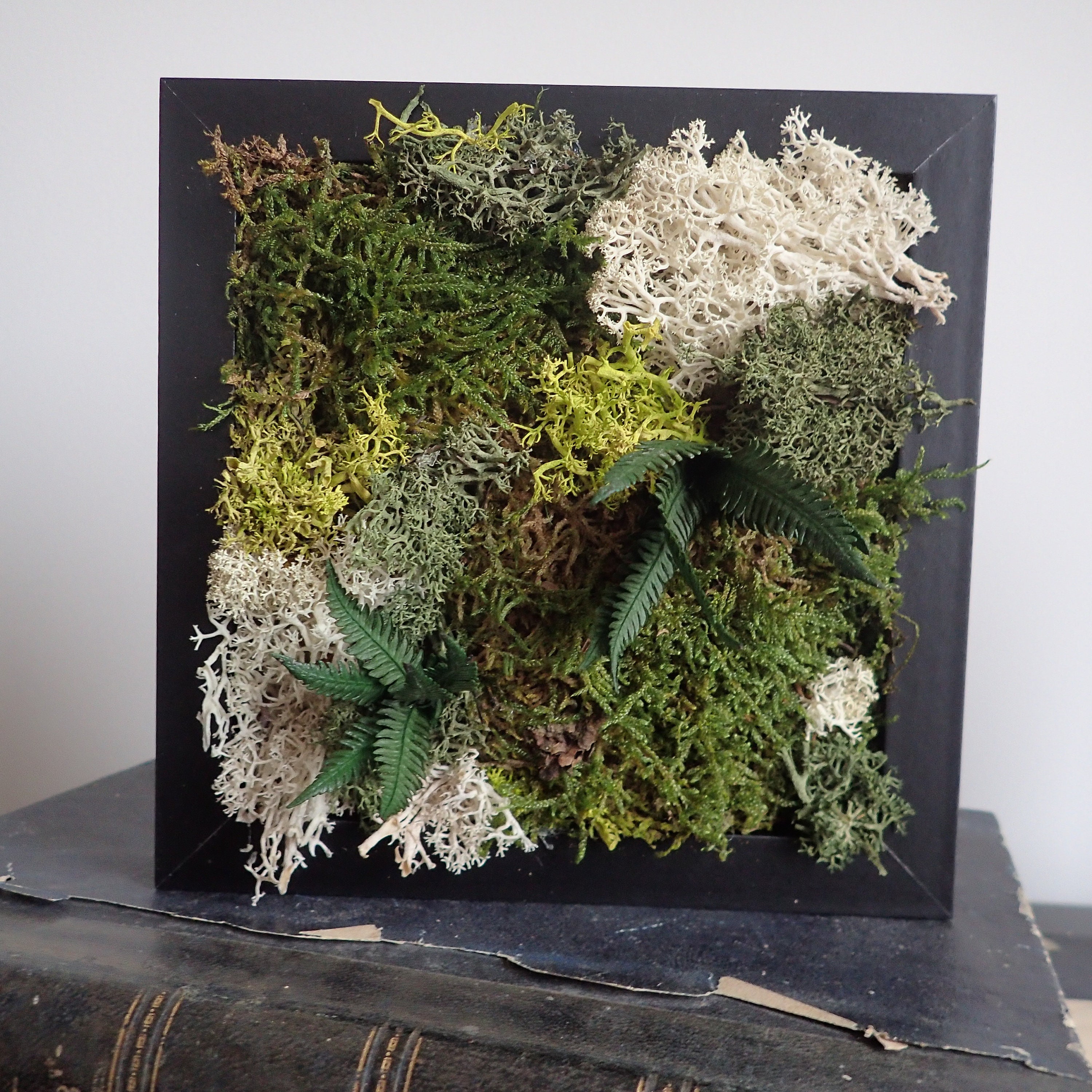 Cadre Végétal, Cadre Végétaux Stabilisés, Fleuri, Décoration Murale Végétale, Mur Végétal.