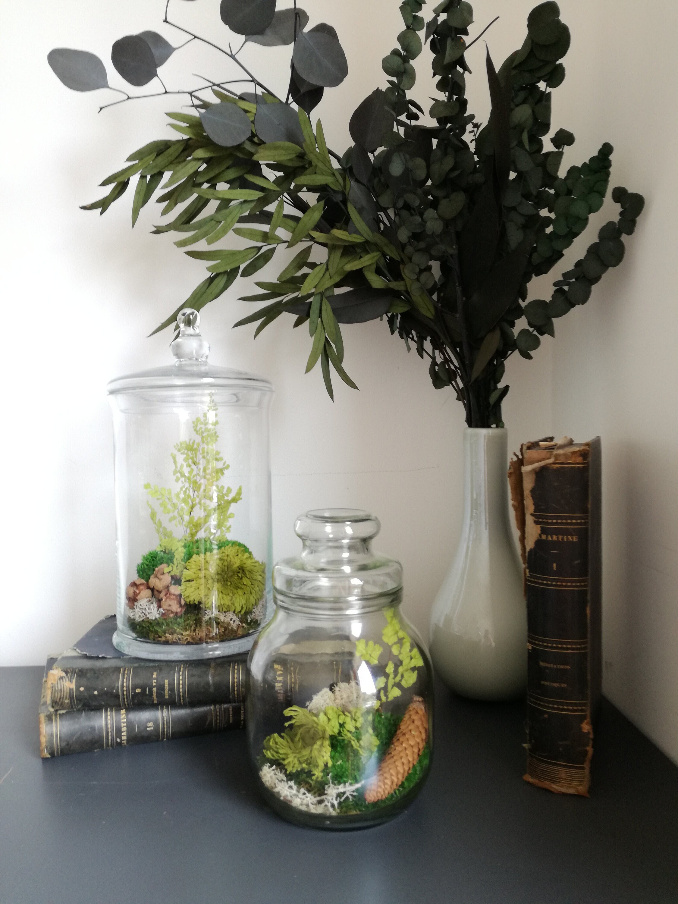 Terrarium Stabilisé, Végétaux Stabilisés en Verrerie, Terrarium, Verrerie Fleurie, Composition Végét