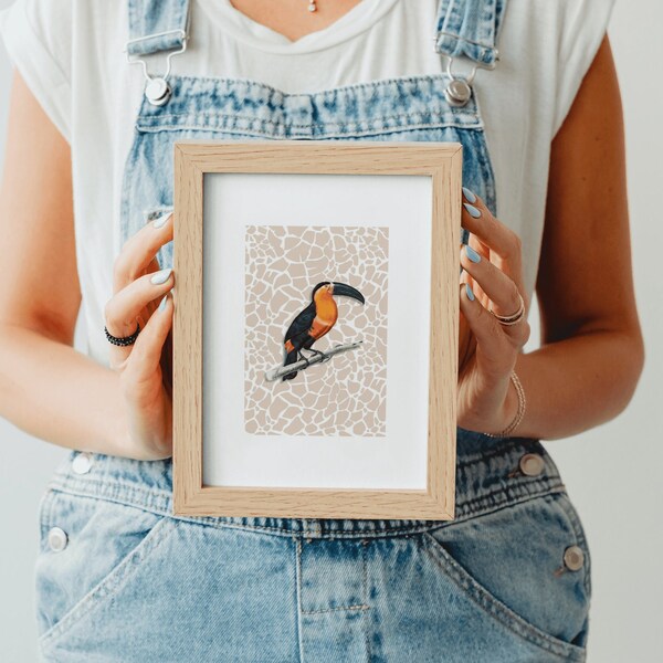 Baby Girl Jungle Wallpaper Etsy