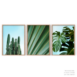 Monstera Blatt Druck 3er Set Tropisches Palmenblatt Esszimmer Dekor Kaktus Druck Palmenblätter Sukkulente grün abstrakt Botanisch