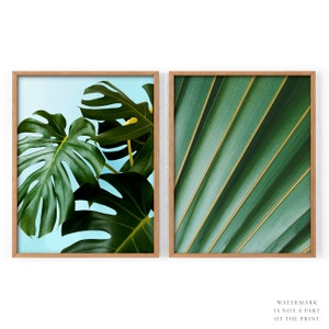 Grünes 2er Set Print, Monstera Blatt, Kaktus Poster, Palmenblätter, ästhetischer Raum, Sukkulente Pflanze, Tropische Wand Kunst, Frühling Sommer, 3
