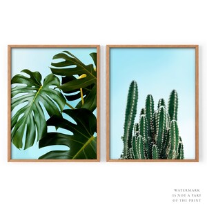 2 Natur Stück, Hell Grüner Druck, Kaktus Poster, Monstera Pflanze, Blätter Foto, Über Bett Set, Über Sofa Set, Blau Galeriewand, Bar Decor