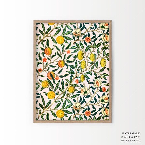 Abstract Fruit Art Etsy