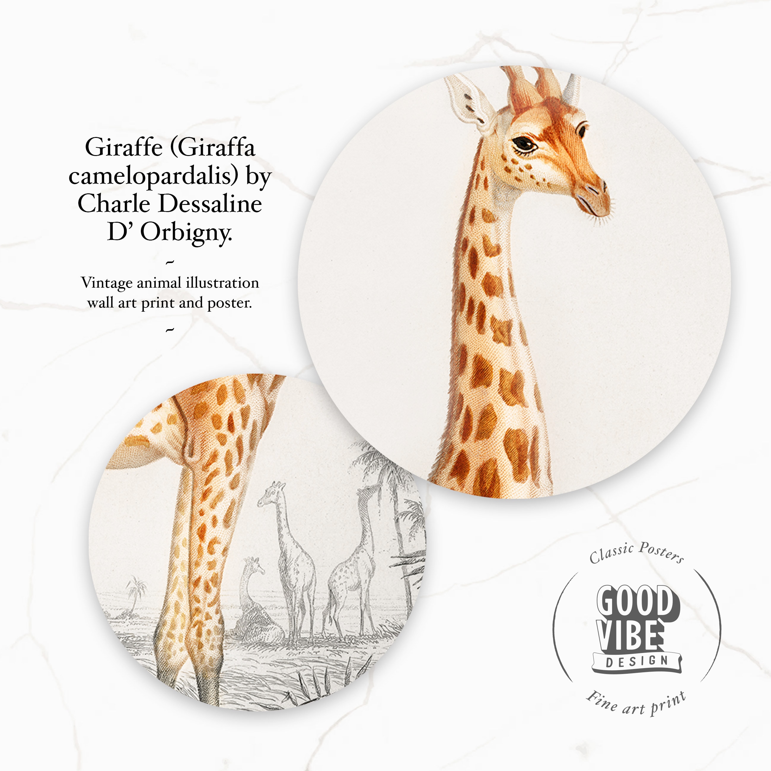 Giraffe Wandbild Kinderzimmer Giraffe Vintage Poster | Etsy