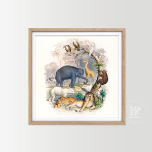 Vintage Fine Porcelain Elgate Plate Beautiful Safari Scene Animal Illustrations Lion Elephant Giraffe Monkeys African Decor Circa 2000