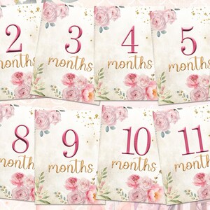 Cartes bébé fille 1-12 mois