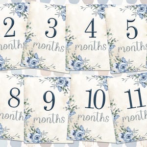 Cartes bébé garçon 1-12 mois