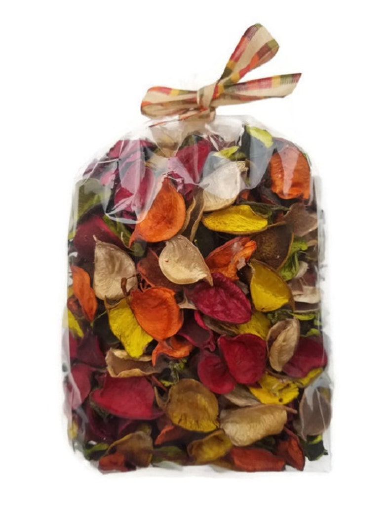 Fall Colors Potpourri for Scented Autumn Decor or Vase Filler With