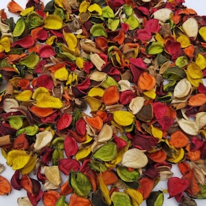 Fall colors potpourri for scented autumn decor or vase filler with refresher scent vial