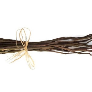Dried Rose stems sticks for crafts, wedding wands, flower arrangements