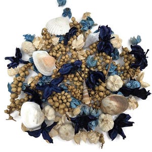 Può includere: Una collezione di pot-pourri decorativo a tema costiero. La composizione comprende conchiglie, fiori secchi e piccole bacche rotonde di colore marrone chiaro. Accenti blu navy e azzurro contrastano con i toni neutri. Il pot-pourri è sparso su una superficie bianca.