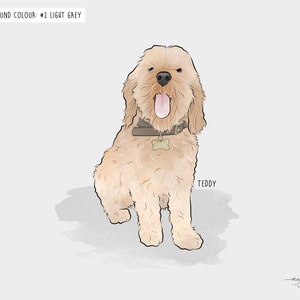 Illustration of a blond cockapoo dog with a collar and name tag, sitting on a light grey background. The dog's tongue is out, and the text reads "Teddy" beside it. Background colour is labeled #2 light grey.
