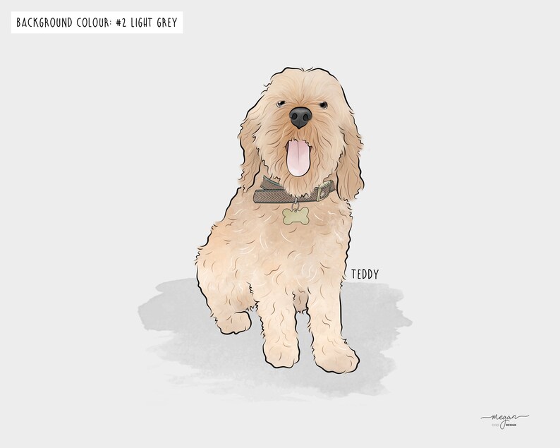 Illustration of a blond cockapoo dog with a collar and name tag, sitting on a light grey background. The dog's tongue is out, and the text reads "Teddy" beside it. Background colour is labeled #2 light grey.