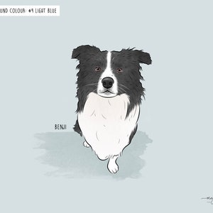 Illustration of a black and white Border Collie with the name "Benji" written beside it, set against a light blue background.