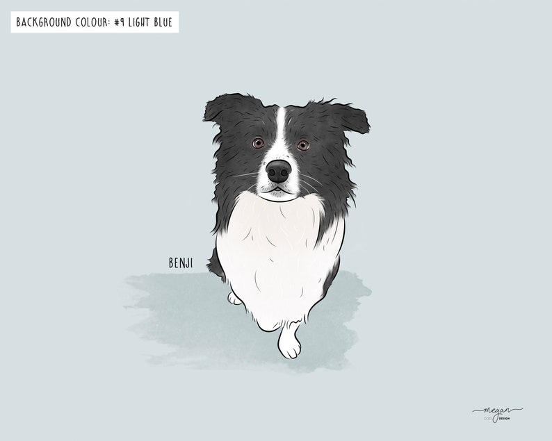 Illustration of a black and white Border Collie with the name "Benji" written beside it, set against a light blue background.