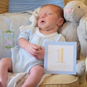 DRUCKBARE Baby-Meilensteinkarten, Baby-Dusche-Geschenk, Babys erstes Jahr-Karten, Baby-Meilensteinkarten druckbar, Baby-Monatskarten