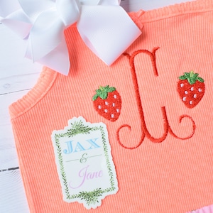 ストロベリーミニフィル刺繍デザイン、夏の刺繍、フルーツ刺繍、ミニフィルストロベリー刺繍デザイン、ストロベリー刺繍