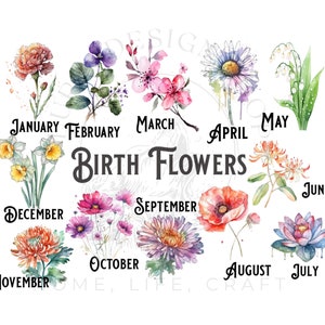 Birth Month Flower Bundle, Flower PNG, Sublimation Designs, Birth Flowers Designs, Watercolour Style, 12 Flowers.