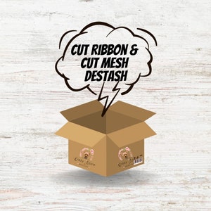May include: A brown cardboard box with the words "Crazy Mazie Creations" printed on the sides. The box is open and a speech bubble above it says "Cut Ribbon & Cut Mesh Destash".