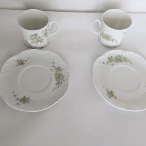 Vintage ROSENTHAL CLASSIC ROSE Tea Cup and Saucer Set of 2 Pastel Floral Cottagecore Tea Party