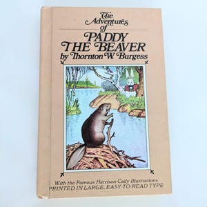 Library Edition: The Adventures of Paddy the Beaver - Originally Published in 1917 Vintage Book