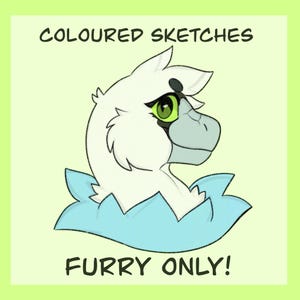 Coloured Headshot Furry Sketches