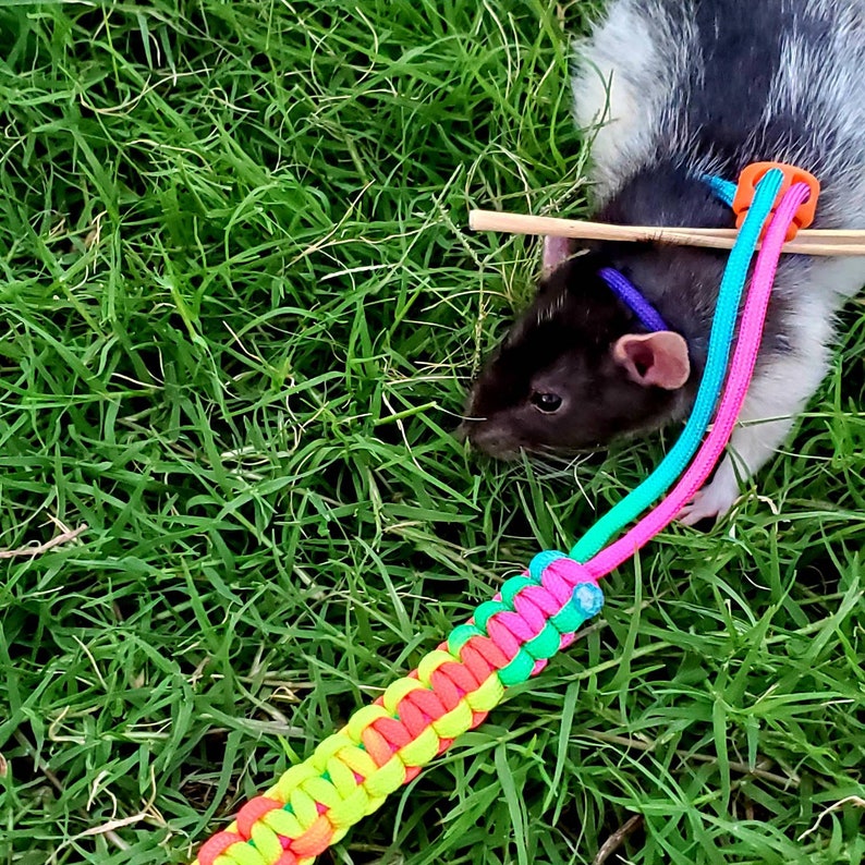 Adjustable Figure 8 Harness for Small animals Rats Ferrets Etsy