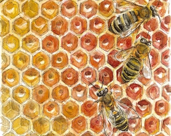 Honeycomb Limited Edition Giclee Print