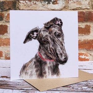 Pak met 4 Greyhound-kunstkaarten 'The Squirrel Chaser' (met bruine enveloppen en biologisch afbreekbare cellofolie)