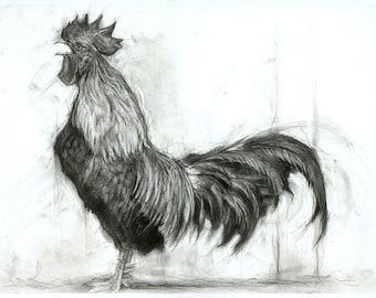 Rocky The Rooster A2 Limited Edition Hand-Signed Giclee print