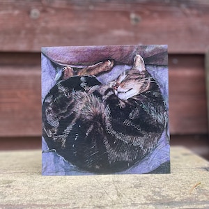 Sleeping Cat ‘All Curled Up’ Pack of 4 Square Cards with Craft Envelopes