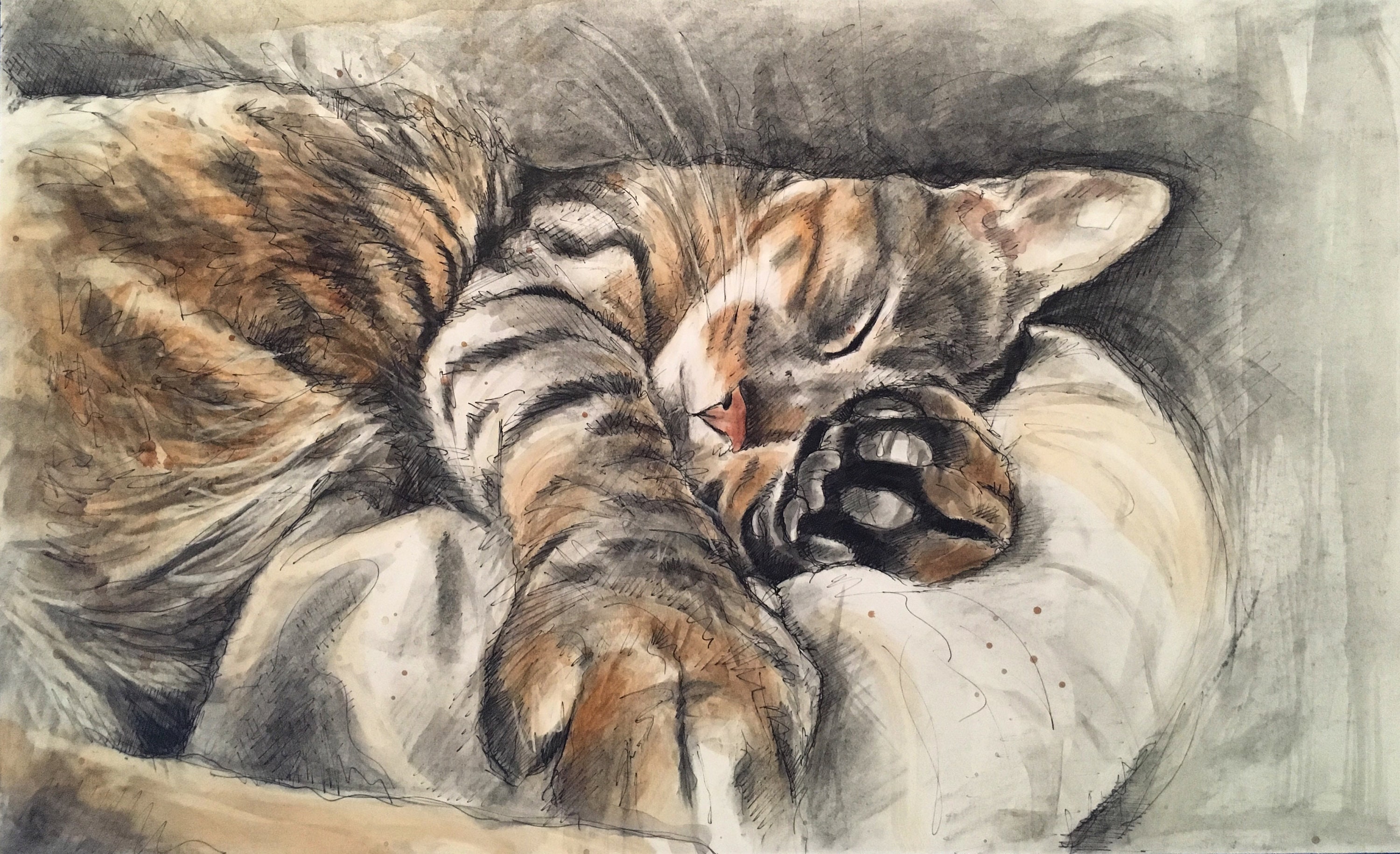 Impresión giclée 'Cat Nap' de gato de Bengala (tal como se vio en The Cathedral Show)