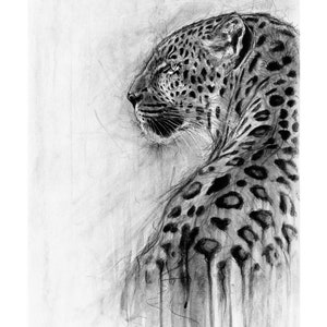 Polka The Leopard Black and White Giclee Print (as seen at Riverside Art in Norfolk)