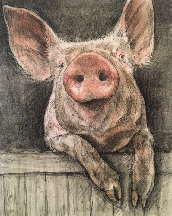 Pig Print 'the Friendly Pig' highest Quality Giclee Print on Think 300 Gsm  Paper 