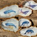 see more listings in the Oyster Shells section