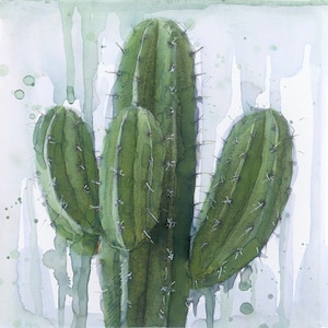 Set van 4 'Cacti Lover'-plantenkaarten met enveloppen en biologisch afbreekbare wraps. Blanco binnenkant